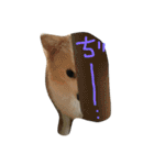 ポメラニアンのゆにペガ（個別スタンプ：18）