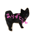 ポメラニアンのゆにペガ（個別スタンプ：20）