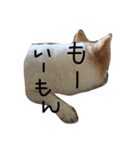 ポメラニアンのゆにペガ（個別スタンプ：33）
