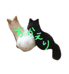 ポメラニアンのゆにペガ（個別スタンプ：38）