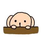 サルっぽいクマ（個別スタンプ：29）
