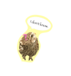 Owl's Family（個別スタンプ：8）