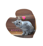 エジプシャンマウ ルーナの生活（個別スタンプ：3）