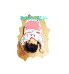 たろちゃんすたんぷ1（個別スタンプ：3）