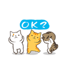 The four talking cats (word)（個別スタンプ：9）