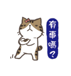 The four talking cats (word)（個別スタンプ：24）