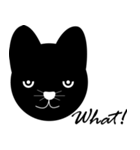 gnDogCat（個別スタンプ：3）