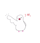 白文鳥のにちじょう（個別スタンプ：4）