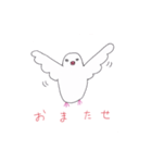 白文鳥のにちじょう（個別スタンプ：7）