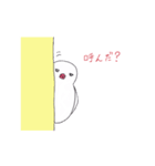 白文鳥のにちじょう（個別スタンプ：8）