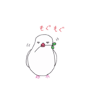 白文鳥のにちじょう（個別スタンプ：9）