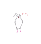 白文鳥のにちじょう（個別スタンプ：12）