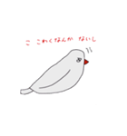 白文鳥のにちじょう（個別スタンプ：13）