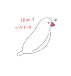白文鳥のにちじょう（個別スタンプ：14）