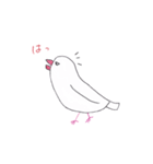 白文鳥のにちじょう（個別スタンプ：15）