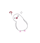 白文鳥のにちじょう（個別スタンプ：16）