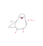 白文鳥のにちじょう（個別スタンプ：18）