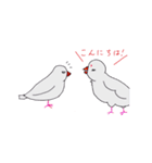 白文鳥のにちじょう（個別スタンプ：20）