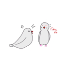 白文鳥のにちじょう（個別スタンプ：22）