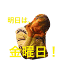 愉快なドルオタたち2（個別スタンプ：13）