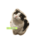 おむすび君の日常 にゃんと1（個別スタンプ：11）