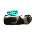おむすび君の日常 にゃんと1（個別スタンプ：12）