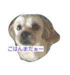 マカロンラブラブスタンプ（個別スタンプ：2）