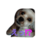マカロンラブラブスタンプ（個別スタンプ：15）