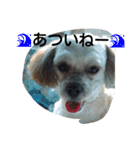 マカロンラブラブスタンプ（個別スタンプ：27）