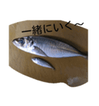 お魚屋さん2（個別スタンプ：2）