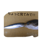 お魚屋さん2（個別スタンプ：6）