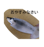 お魚屋さん2（個別スタンプ：8）