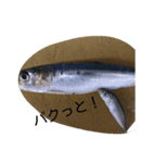 お魚屋さん2（個別スタンプ：11）