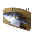 お魚屋さん2（個別スタンプ：13）