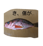 お魚屋さん2（個別スタンプ：15）
