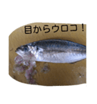 お魚屋さん2（個別スタンプ：16）
