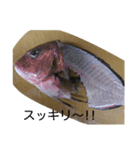 お魚屋さん2（個別スタンプ：20）
