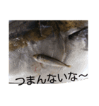 お魚屋さん2（個別スタンプ：23）