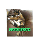 北九州弁の猫かすみちゃん（個別スタンプ：16）