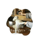 さすけすたんぷ（個別スタンプ：8）