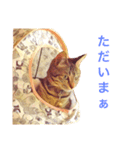 モカとアメ2（個別スタンプ：3）