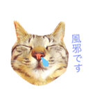 モカとアメ2（個別スタンプ：4）