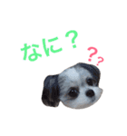 ドグドグスタンプ（個別スタンプ：2）