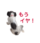ドグドグスタンプ（個別スタンプ：3）