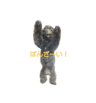 ポメプーぽっぷ（個別スタンプ：3）