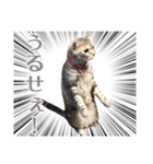 ヴィヴィ猫ちゃん（個別スタンプ：8）