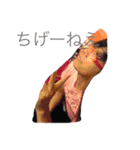 沼田の方言(1)（個別スタンプ：9）