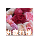 薔薇の花♡RPdR・挨拶メッセージ（個別スタンプ：4）