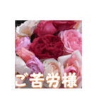 薔薇の花♡RPdR・挨拶メッセージ（個別スタンプ：5）