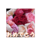 薔薇の花♡RPdR・挨拶メッセージ（個別スタンプ：8）